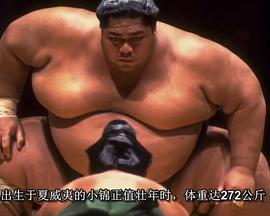 透视内幕：相扑传承物语 Inside Sumo's Ultimate Clash