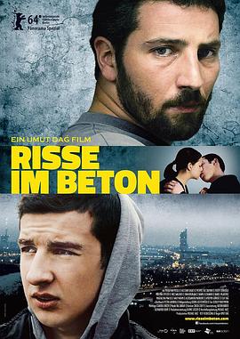 混凝土上的裂痕 Risse im Beton