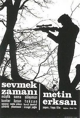 爱情时刻 Sevmek Zamanı