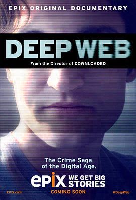 深网：比特币和丝绸之路未透露的故事 Deep Web: The Untold Story of BitCoin and Silk Road