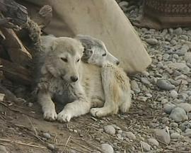 距离纽约十一万公里 11.000 км. от Нью-Йорка