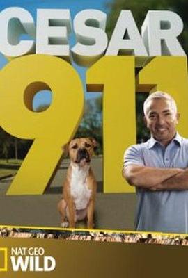 呼叫西萨狗教官 Cesar 911