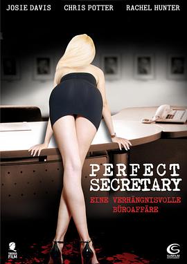 完美的助理 The Perfect Assistant