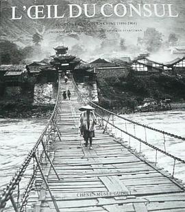领事的眼光 L'Oeil du Consul