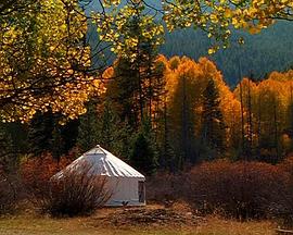 与狼同行 Living with Wolves