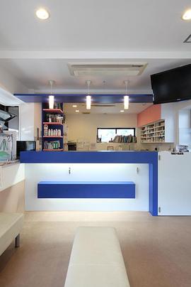 纪实72小时 城市不眠的动物医院 ドキュメント72時間 眠らぬ都会の動物病院