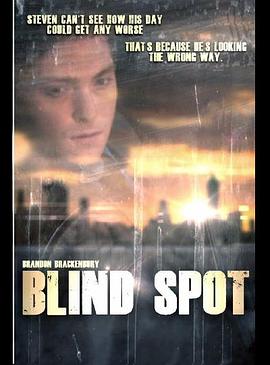 盲点 Blind Spot