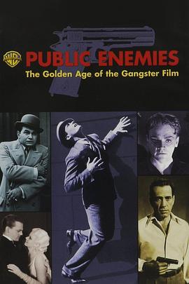 公众之敌：黑帮电影的黄金时代 Public Enemies: The Golden Age of the Gangster Film