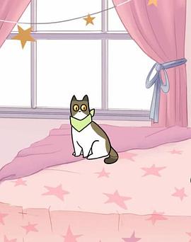 爱翻垃圾的猫 Trash Cat
