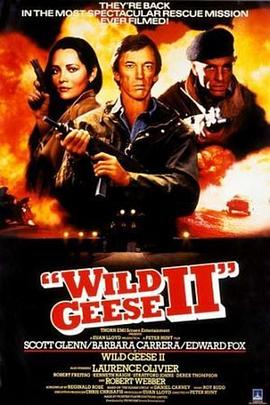 野鹅敢死队2 Wild Geese II