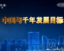 中国与千年发展目标
