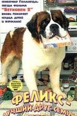 我们的朋友菲利克斯 Felix - Ein Freund fürs Leben