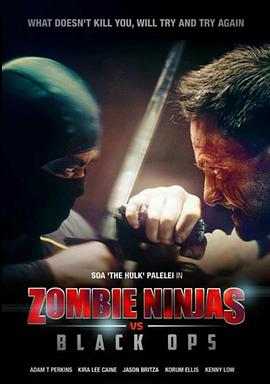 僵尸VS黑衣忍者 Zombie Ninjas vs Black Ops