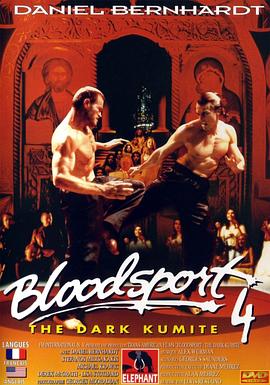 血点4：黑暗对决 Bloodsport: The Dark Kumite