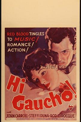 骑侠争婚 Hi, Gaucho!