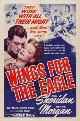 神鹰万里 Wings for the Eagle