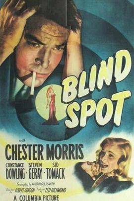 盲点 Blind Spot