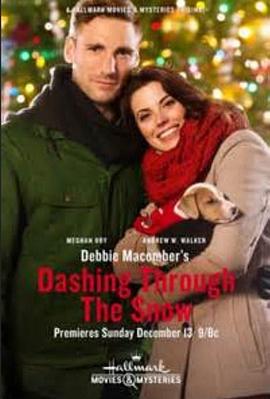 蠢货特务和编织女的公路之旅 Debbie Macomber's Dashing Through the Snow