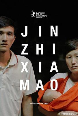 禁止下锚 禁止下錨