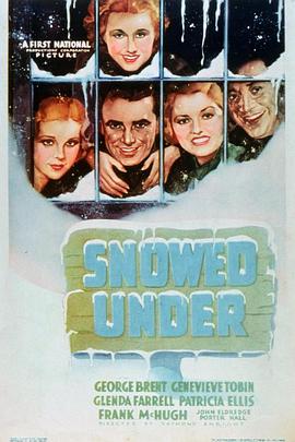 新旧夫人 Snowed Under