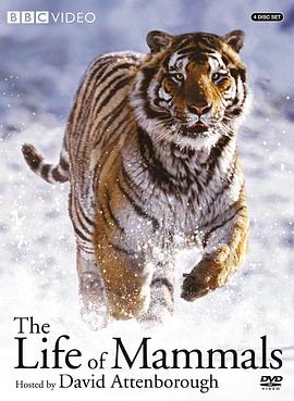 哺乳类全传 The Life of Mammals
