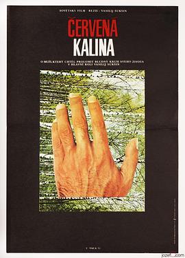 红莓 Калина красная