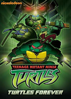 忍者神龟 第三季 Teenage Mutant Ninja Turtles Season 3
