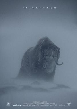 北极困境，脆弱之美 In Between