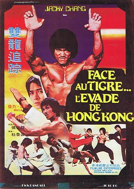双龙追踪 Bruce Lee's Dragons Fight Back
