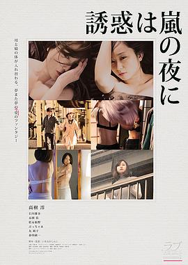 雨夜的诱惑 誘惑は嵐の夜に