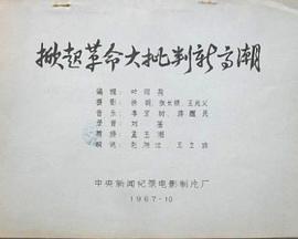 掀起革命大批判新高潮