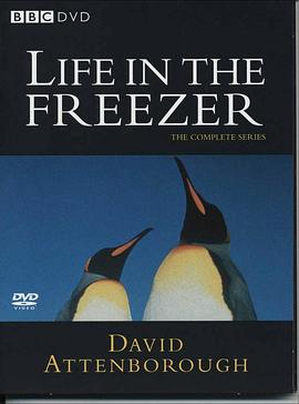 冰雪的童话 Life In The Freezer