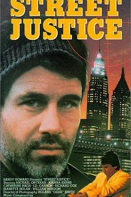 谍海风云 Street Justice