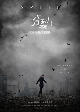 分裂1：906号患者档案