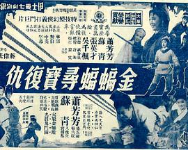 金蝙蝠寻宝复仇 金蝙蝠尋寶復仇