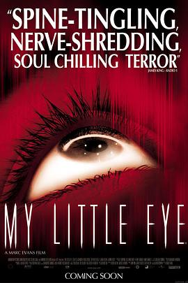 鹰眼下的危房 My Little Eye