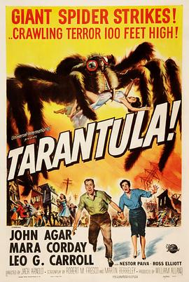 狼蛛 Tarantula