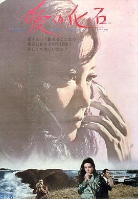 爱的化石 愛の化石