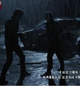 最后的拼图 마지막 퍼즐