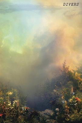 乔安娜·纽桑：潜水员 Joanna Newsom: Divers