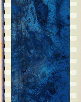 百万虫鸣，千星辉 Sound of a Million Insects, Light of a Thousand Stars