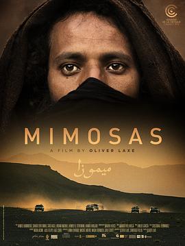 含羞草 Mimosas