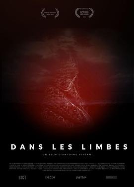 虚拟漫游者 Dans les limbes
