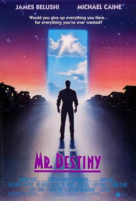 命运先生 Mr. Destiny