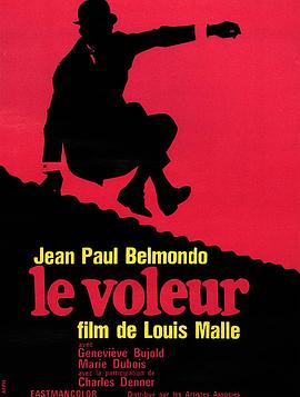 贼中贼 Le Voleur