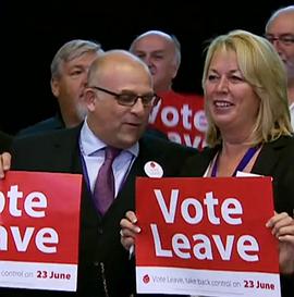 为什么我们投出脱欧选票 Why We Voted to Leave: Britain Speaks