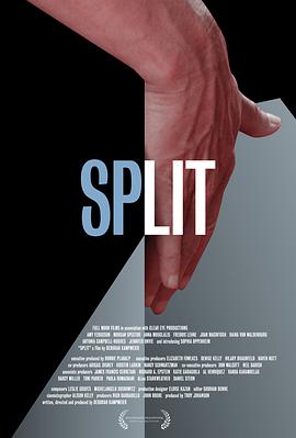 分裂效应 Split