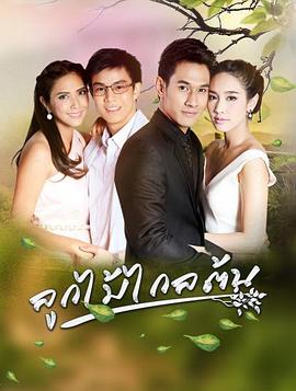 劫缘 ลูกไม้..ไกลต้น
