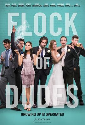 死党们 Flock of Dudes