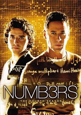 数字追凶  第四季 Numb3rs Season 4
